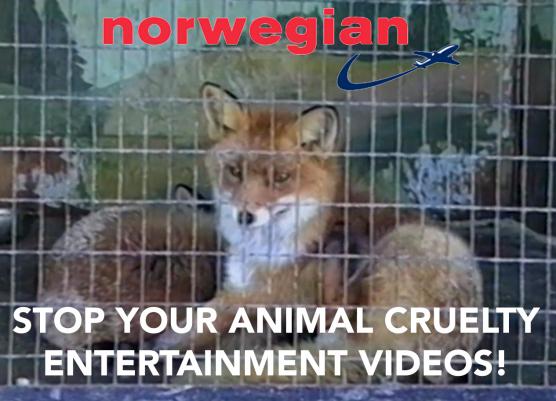 Norwegian: Stop Your Animal Cruelty Entertainment Videos!